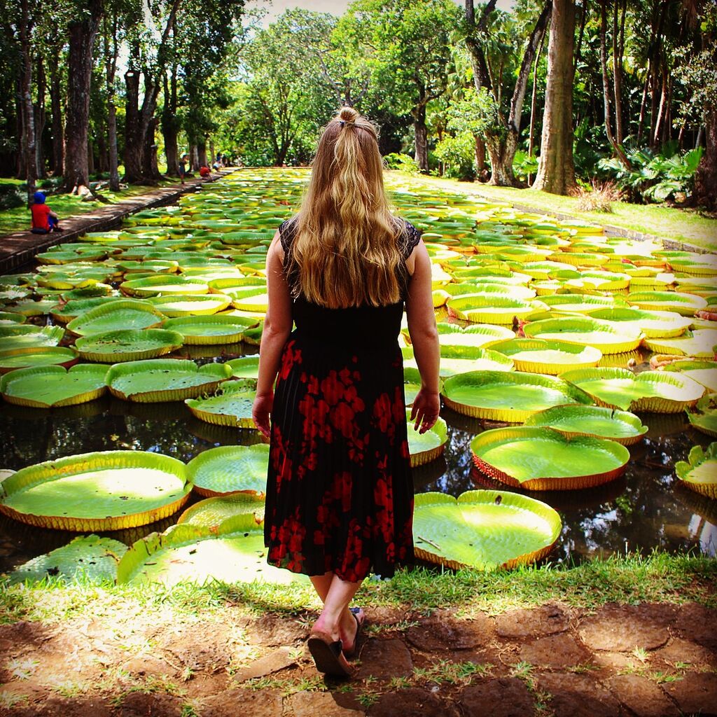 Erkunde den Botanischen Garten von Pamplemousses