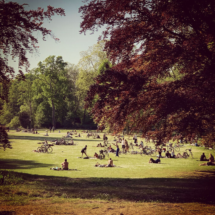 Sommer im Volksgarten Düsseldorf