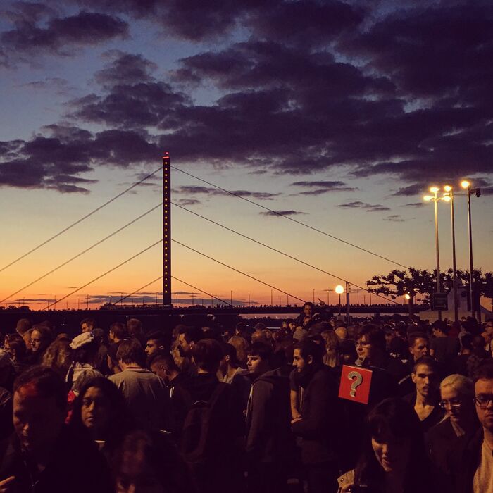 Die Kaninchendisko im Rhein in Düsseldorf