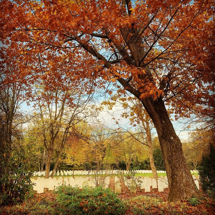 Friedhof Stoffeln - Ein herbstlicher Ort zum Entspannen