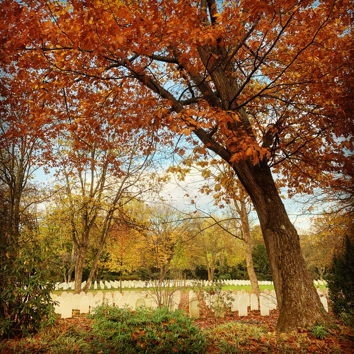 Friedhof Stoffeln - Ehrung und Erinnerung