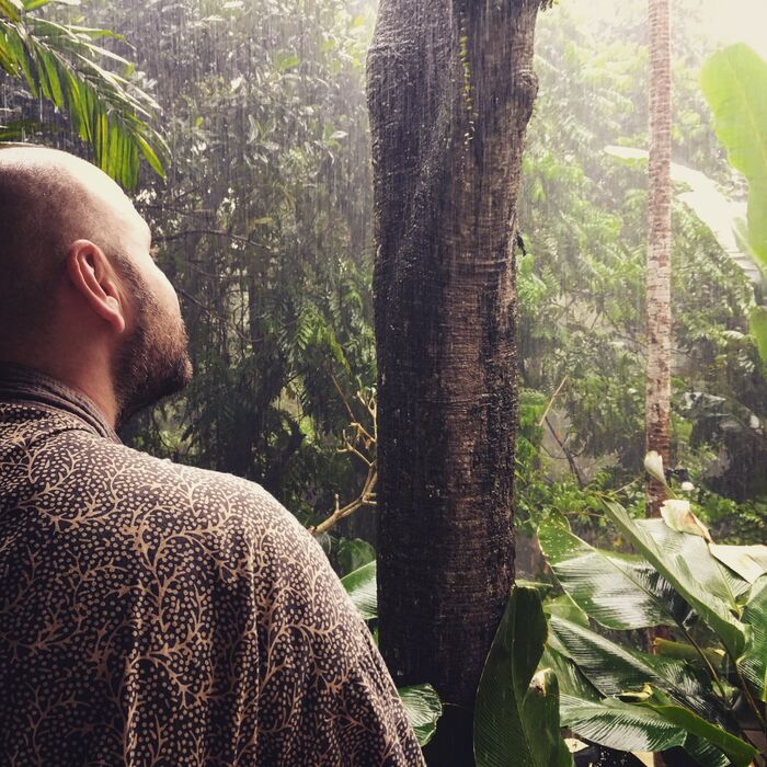 Tropischer Regenwald in Ubud – Ein einzigartiges Erlebnis